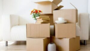 Packers and Movers Gopanpally Hyderabad